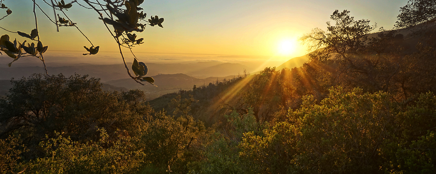 Fallbrook Attractions